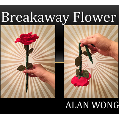 The Breakaway Flower by Alan Wong - Trick